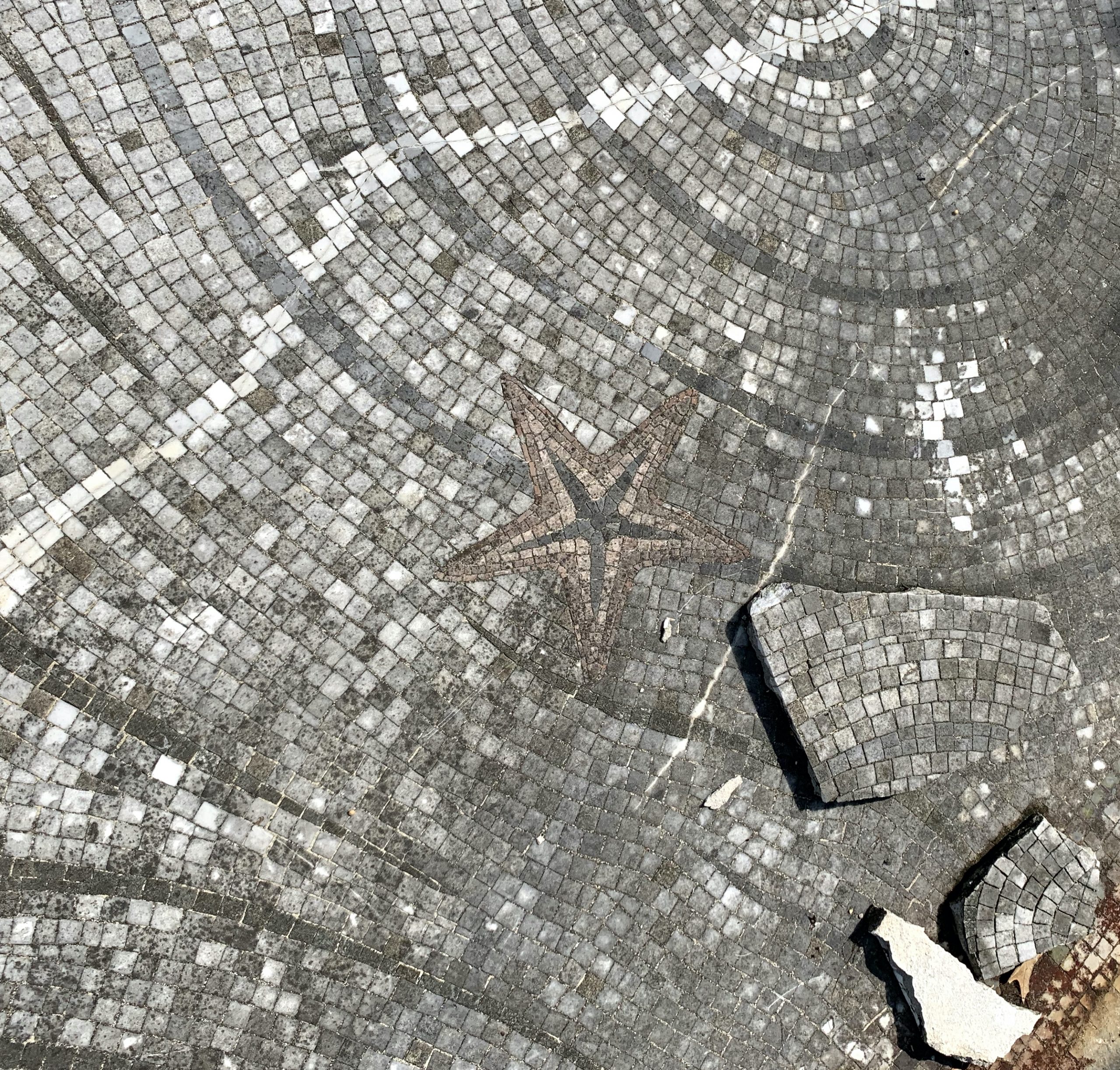 Hidden and Beautiful – Old Structures Engineering