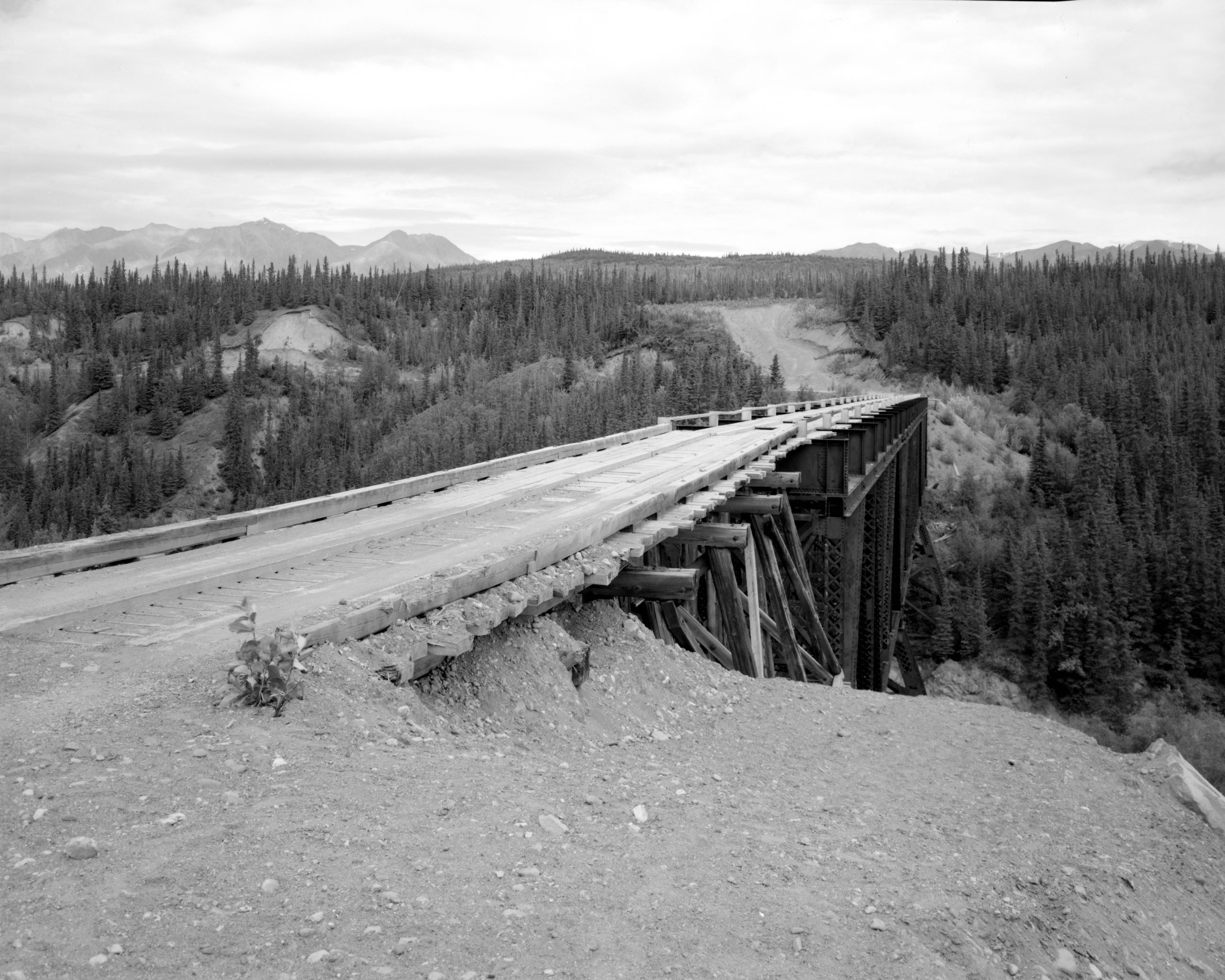 Anthropomorphism and a View – Old Structures Engineering